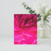 Roos bloem briefkaart (Staand voorkant)