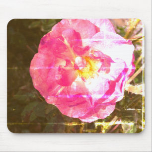 Roos Bloem Foto Mousepad Muismat