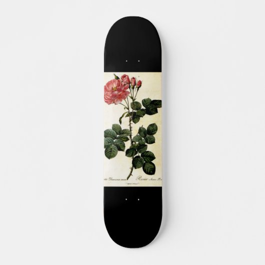 Roos bloem, Pierre Joseph Redouté Skateboard (Voorkant)