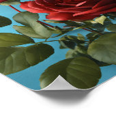 Roos bloem poster (Hoek)