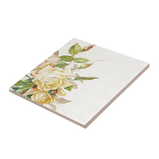  Roos bloem Tegeltje (Zijkant)