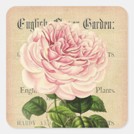 Roos bloem  vrouwelijke bloemige sticker