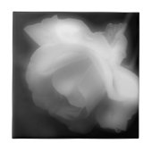 Roos bloem zwart-wit tegeltje (Voorkant)
