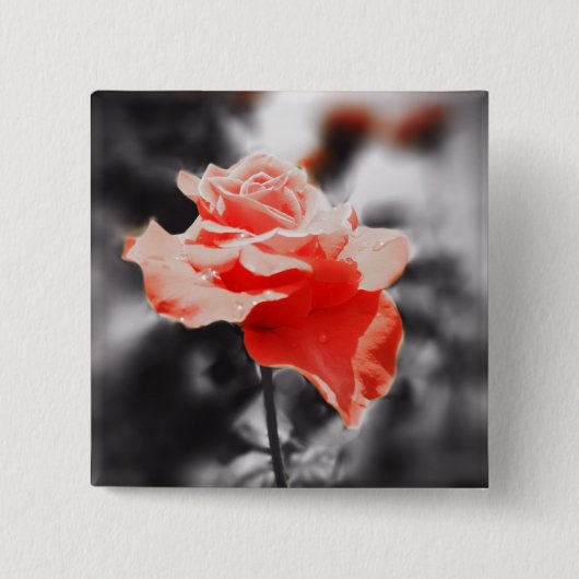 Roos bloemen #2 Vierkante Button 5,1 Cm (Voorkant)
