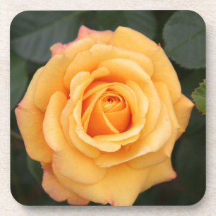 roos bloemen bloem liefde meisje bier onderzetter