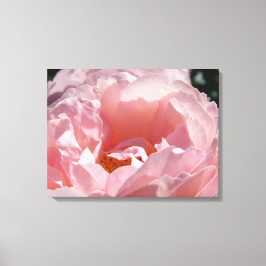 Roos Bloementuin canvas Fotografie Prints (Voorkant)