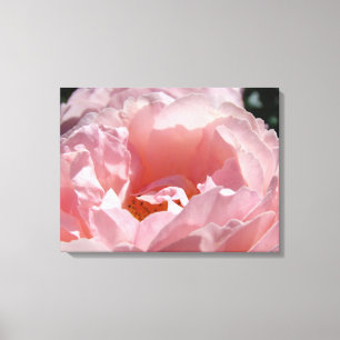 Roos Bloementuin canvas Fotografie Prints