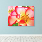 Roos bloementuin canvas fotografieprints afdruk (Insitu (Houten vloer))