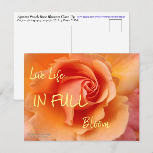 Roos bloesem / Abrikozenklep / Sluiten foto Briefkaart (Voorkant / Achterkant)