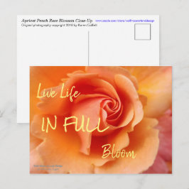 Roos bloesem / Abrikozenklep / Sluiten foto Briefkaart