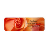 Roos bloesem / Abriotkapper / Return Address Label (Voorkant)