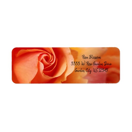 Roos bloesem / Abriotkapper / Return Address Label (Voorkant)
