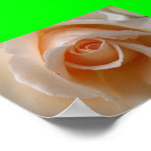 Roos bloesem sluiten poster (Hoek)