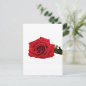 Roos Bloesems Destiny Vrede Liefde Briefkaart (Staand voorkant)