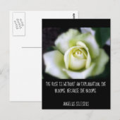 Roos blokkeert vanwege prijsopgave briefkaart (Voorkant / Achterkant)