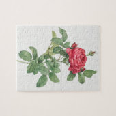 Roos Blooming  Oude illustratie Legpuzzel (Horizontaal)