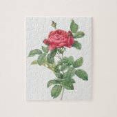 Roos Blooming  Oude illustratie Legpuzzel (Verticaal)