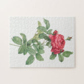 Roos Blooming  Oude illustratie Legpuzzel (Horizontaal)