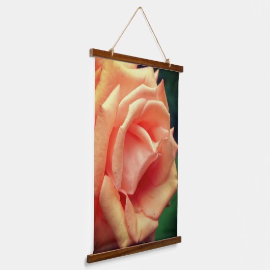 Roos Blooming Peach Hangend Wandkleed (Gebogen)
