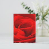 Roos Blossom Briefkaart (Staand voorkant)