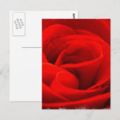 Roos Blossom Briefkaart (Voorkant / Achterkant)