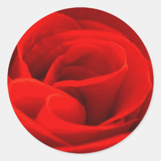 Roos Blossom Sticker