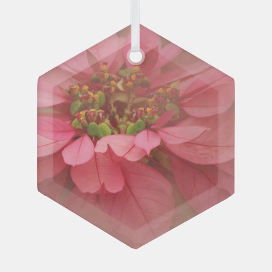 Roos Blush Poinsettias Digital Art Glass Ornament (Voorkant)