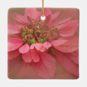 Roos Blush Poinsettias Digital Art Keramisch Ornament (Achterkant)