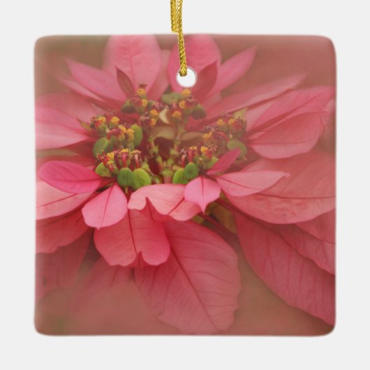 Roos Blush Poinsettias Digital Art Keramisch Ornament (Voorkant)