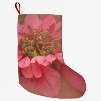 Roos Blush Poinsettias Digital Art Kleine Kerstsok