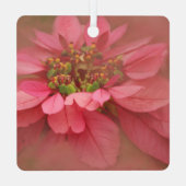 Roos Blush Poinsettias Digital Art Metal Ornament (Achterkant)