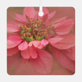Roos Blush Poinsettias Digital Art Metal Ornament
