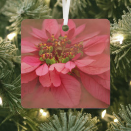 Roos Blush Poinsettias Digital Art Metal Ornament
