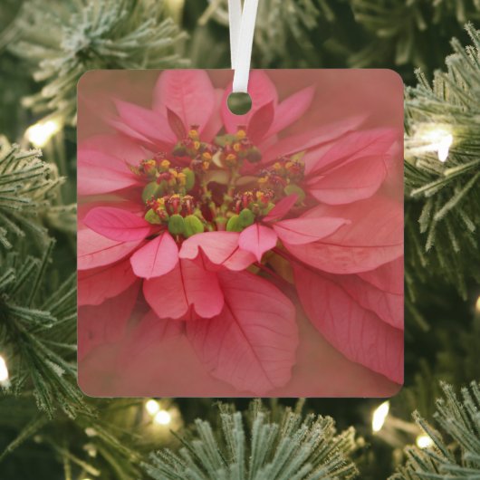 Roos Blush Poinsettias Digital Art Metal Ornament (Insitu)