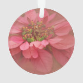 Roos Blush Poinsettias Digital Art Ornament (achterkant)