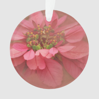 Roos Blush Poinsettias Digital Art Ornament