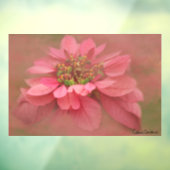 Roos Blush Poinsettias Digital Art Raamsticker (Vel 3)