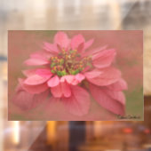 Roos Blush Poinsettias Digital Art Raamsticker (Vel 2)