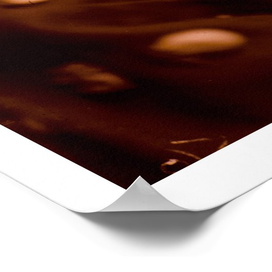 Roos Bompard Bird Poster (Hoek)