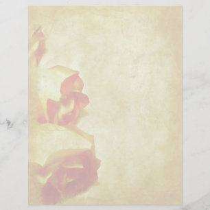 Roos Border Letterhead