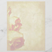 Roos Border Letterhead (Voorkant)