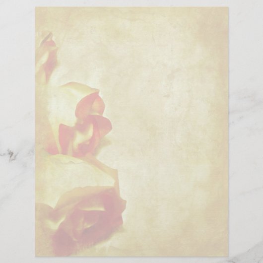 Roos Border Letterhead (Voorkant)