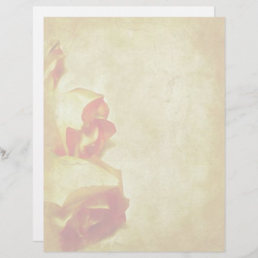 Roos Border Letterhead (Voorkant / Achterkant)