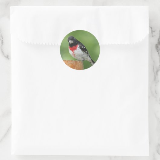 Roos-borst Grosbeak Stickers (Tas)