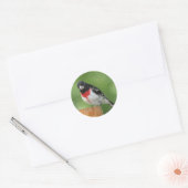 Roos-borst Grosbeak Stickers (Envelop)