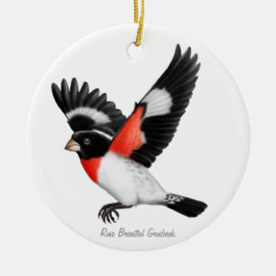 Roos Borstbek Bird Ornament