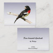 Roos-borstkas ATC Visitekaartje (Voorkant / Achterkant)