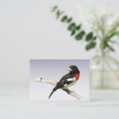 Roos-borstkas ATC Visitekaartje (Staand voorkant)