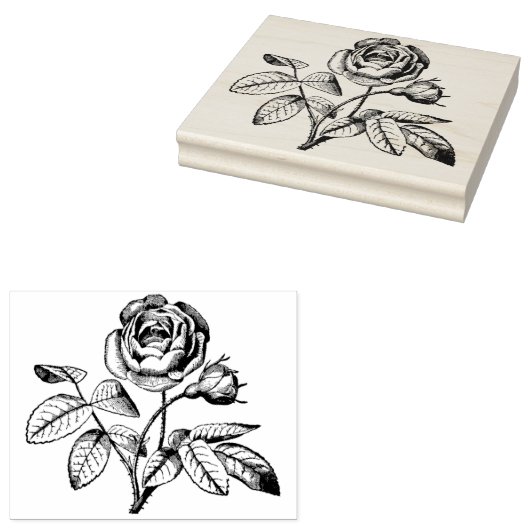  Roos Botanische Rubber Kunststempel Rubberstempel (Gestempeld)