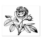 Roos Botanische Rubber Kunststempel Rubberstempel (Afrduk)
